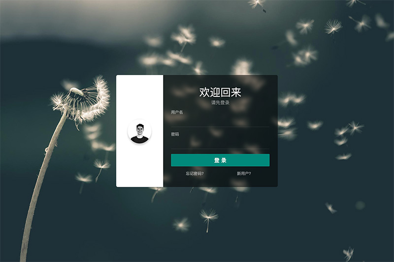 登录注册忘记密码页面