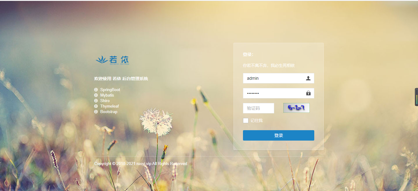 部署若依框架