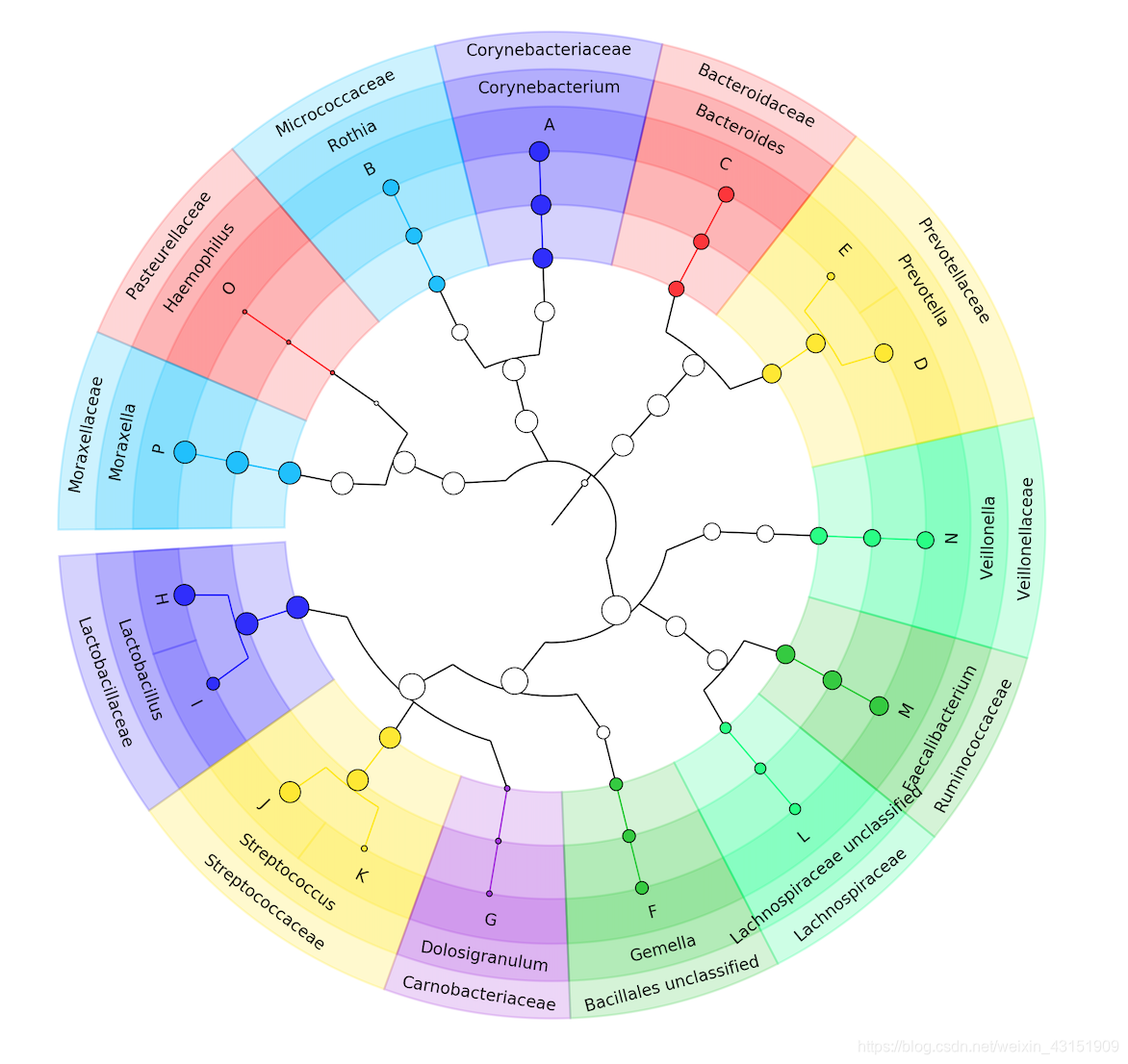 graphlan/iTOL画进化树记录_table2itol-CSDN博客