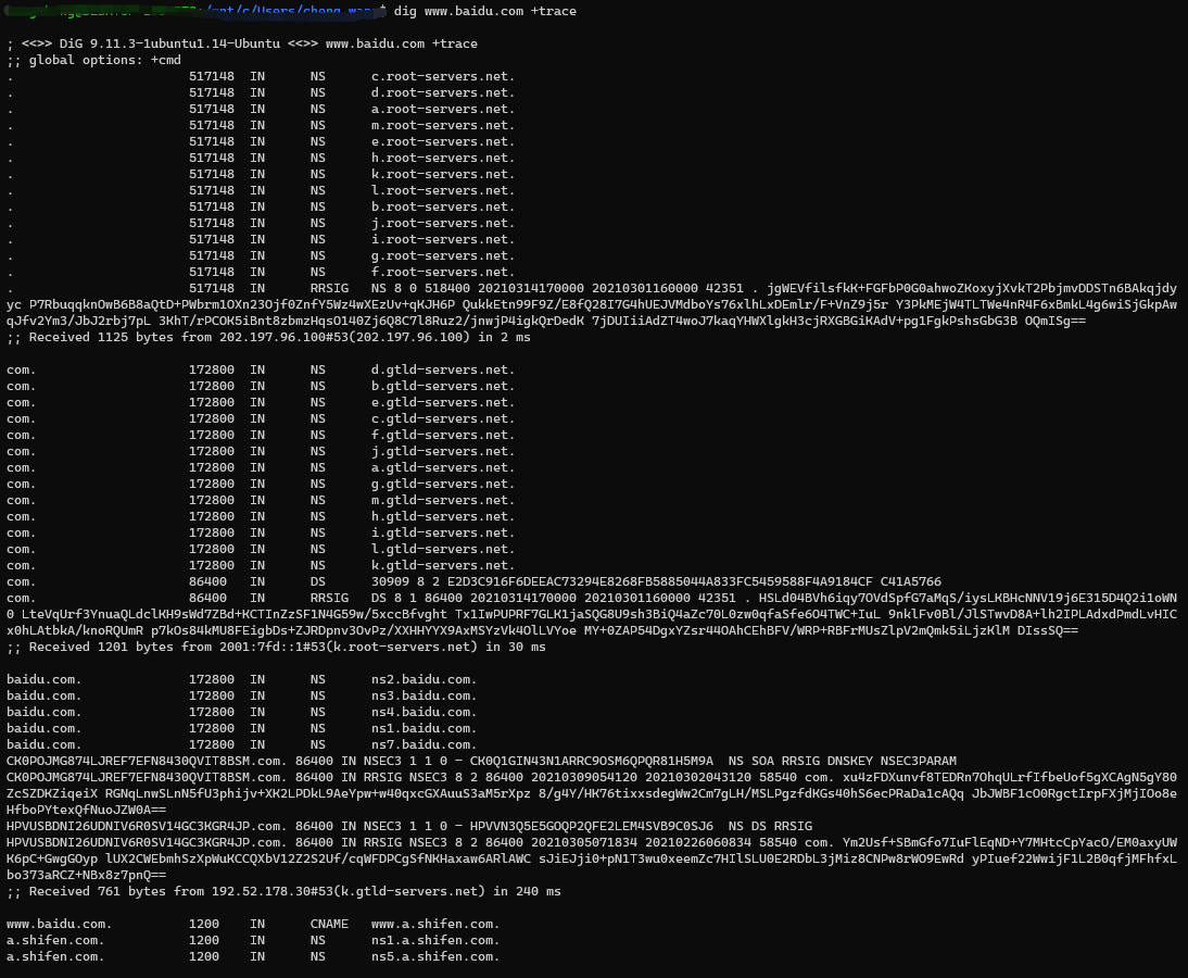 Interface Type Dig Linux系统下的Dig工具使用方法_linux dig超时-CSDN博客