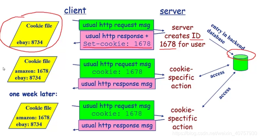 Web应用概述（持久性连接、http请求、http响应、cookie技术、web缓存/代理服务器技术）