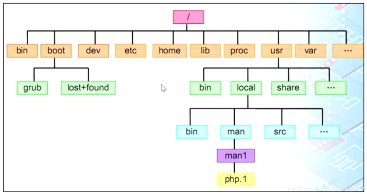 linux中大致的目录结构