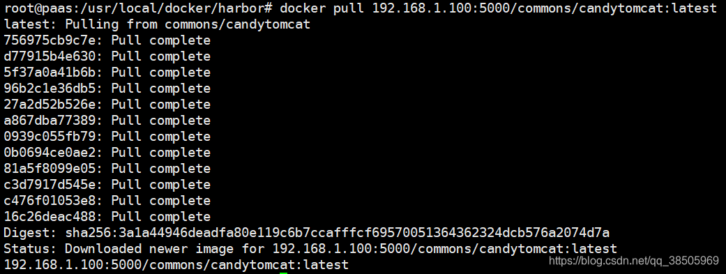 Pull the docker image uploaded by other clients just now