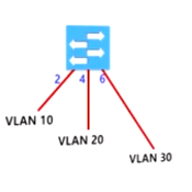 基于交换机端口划分虚拟局域网