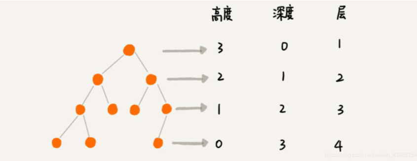 树的高度、深度、层的区别