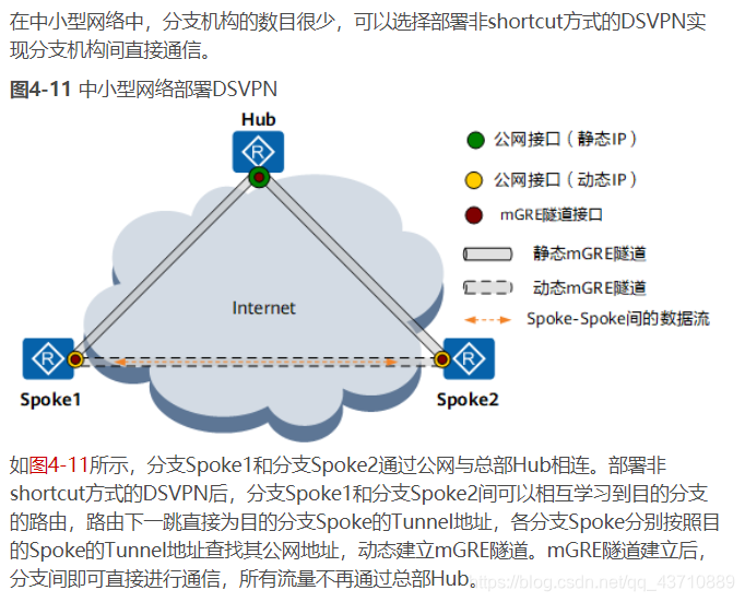 Dsnw Router About DSVNP原理以及相关配置_南岸青栀*的博客-CSDN博客