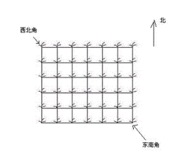 AcWing 1015. 摘花生