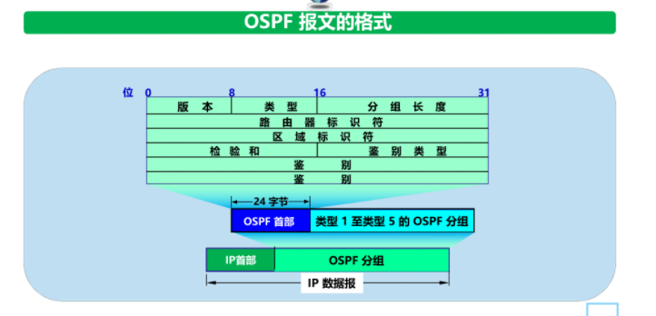 计算机网络期末复习提纲（全知识点总结）