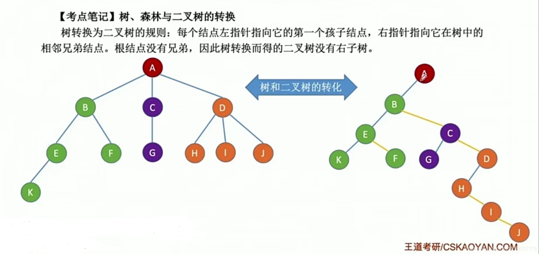 树转二叉树