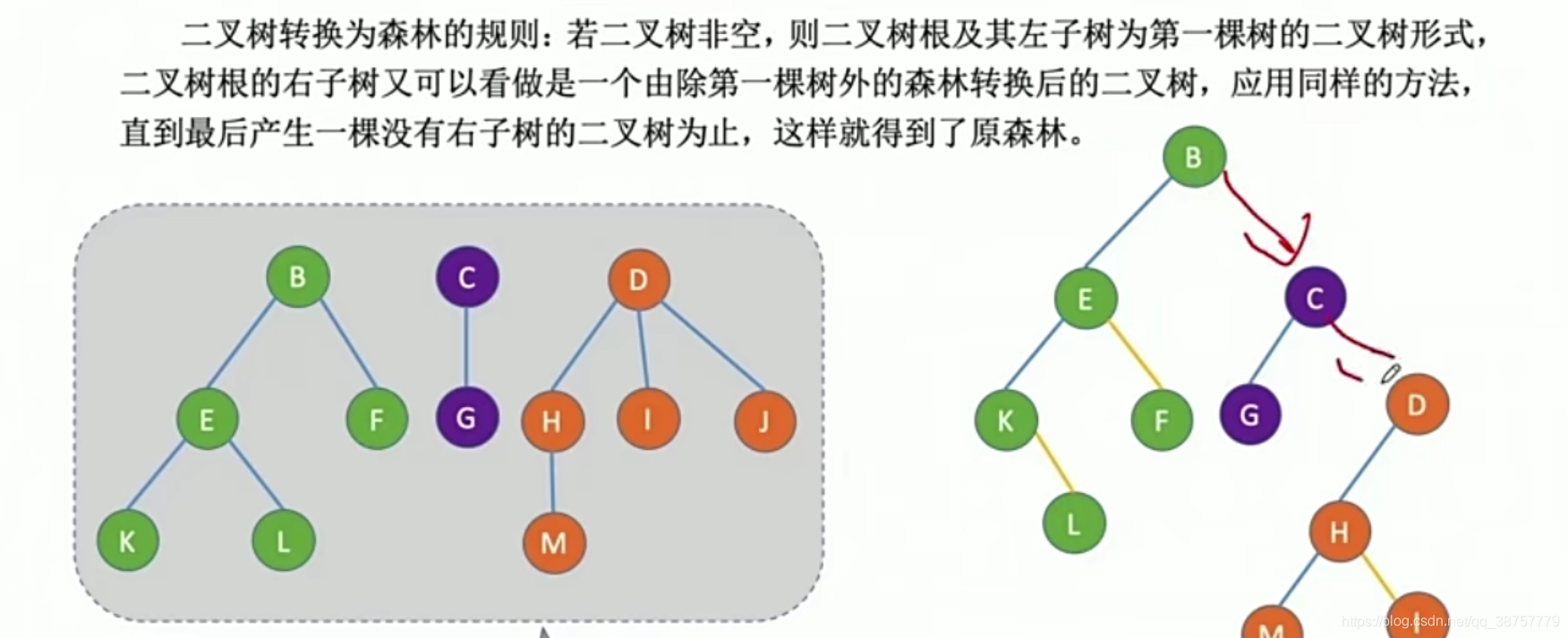 森林转换二叉树