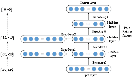 图2. SPAE的网络结构图