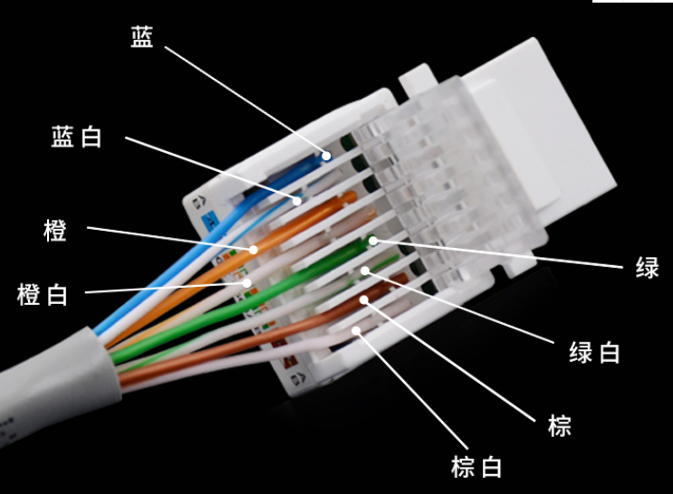 墙壁rj45插线顺序_网线插座接法详细图解