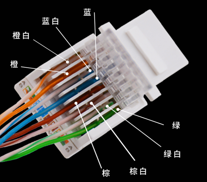 墙壁rj45插线顺序_网线插座接法详细图解