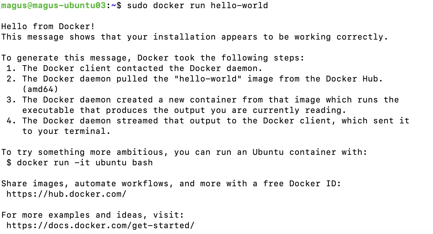 Ubuntu 安装Docker_rm rf /var/lib/apt/lists/*_Starry2024的博客CSDN博客