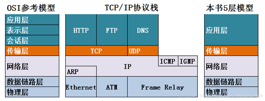 网络层级
