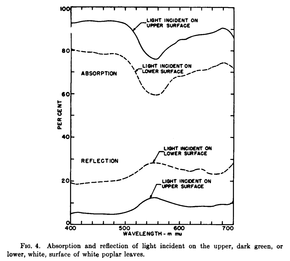 高光谱与农业（一）植物叶片的反射、吸收光谱_吸收光谱 反射光谱-CSDN博客