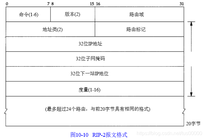 在这里插入图片描述