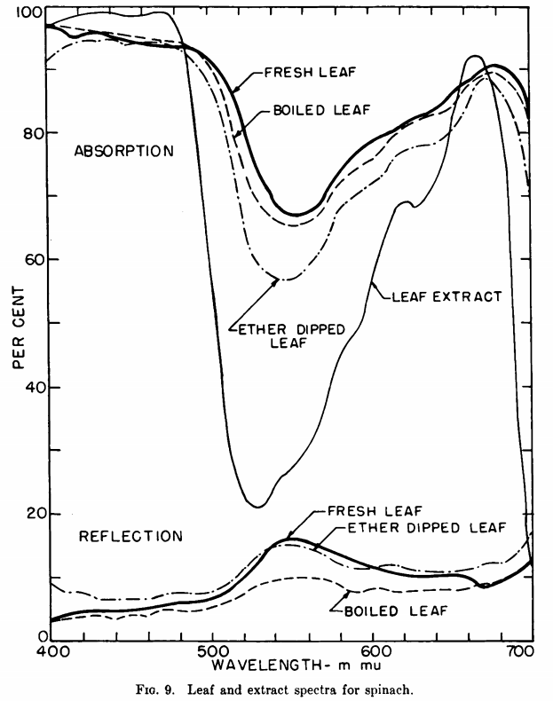 高光谱与农业（一）植物叶片的反射、吸收光谱_吸收光谱 反射光谱-CSDN博客