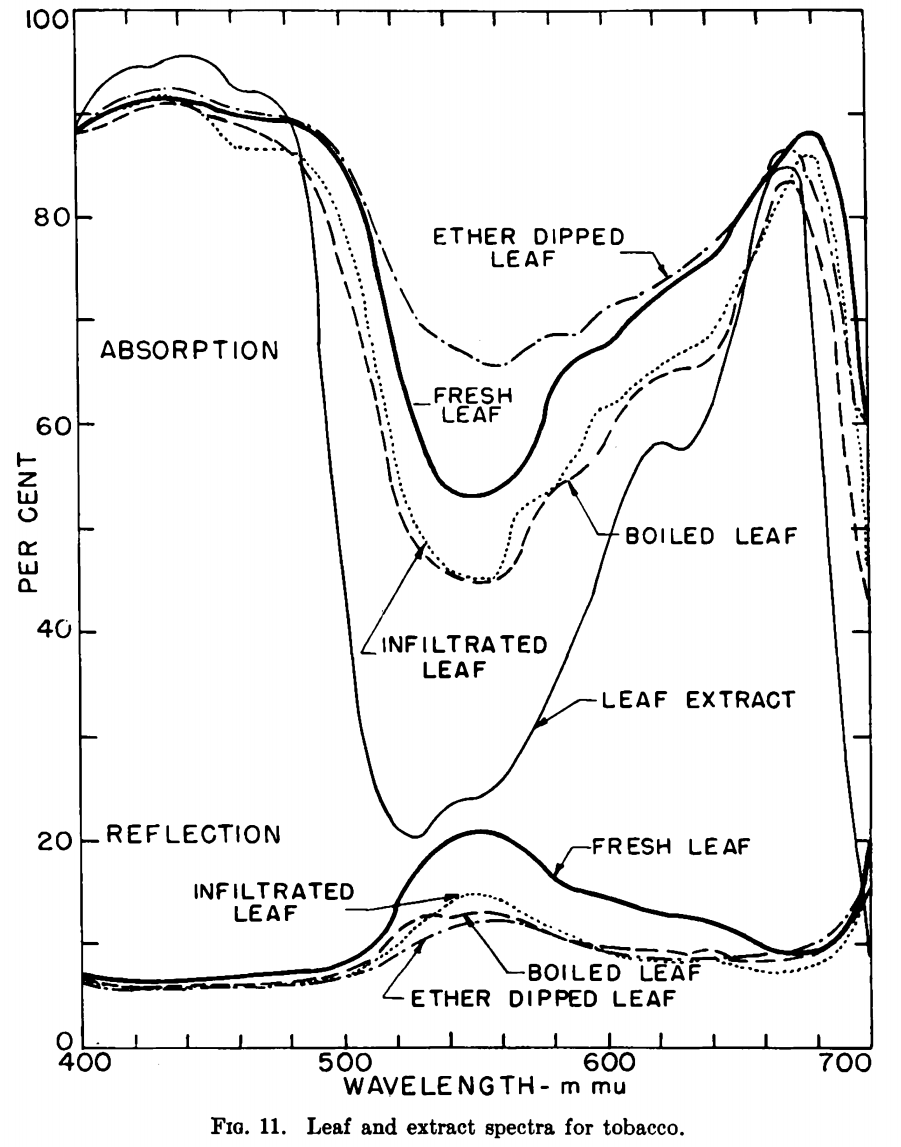 高光谱与农业（一）植物叶片的反射、吸收光谱_吸收光谱 反射光谱-CSDN博客