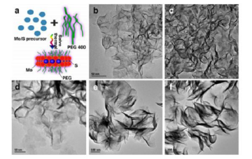 二维材料：聚乙二醇化二硫化钼（MoS2）方法介绍