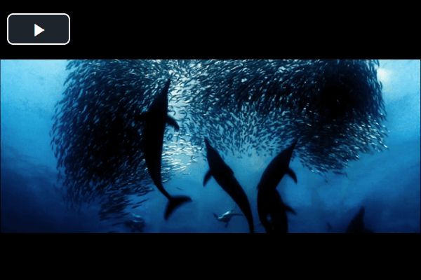 默认播放按钮位置