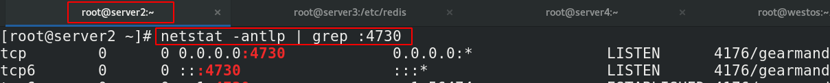 Redis mysql redis mysql redis mysql Studying CSDN 