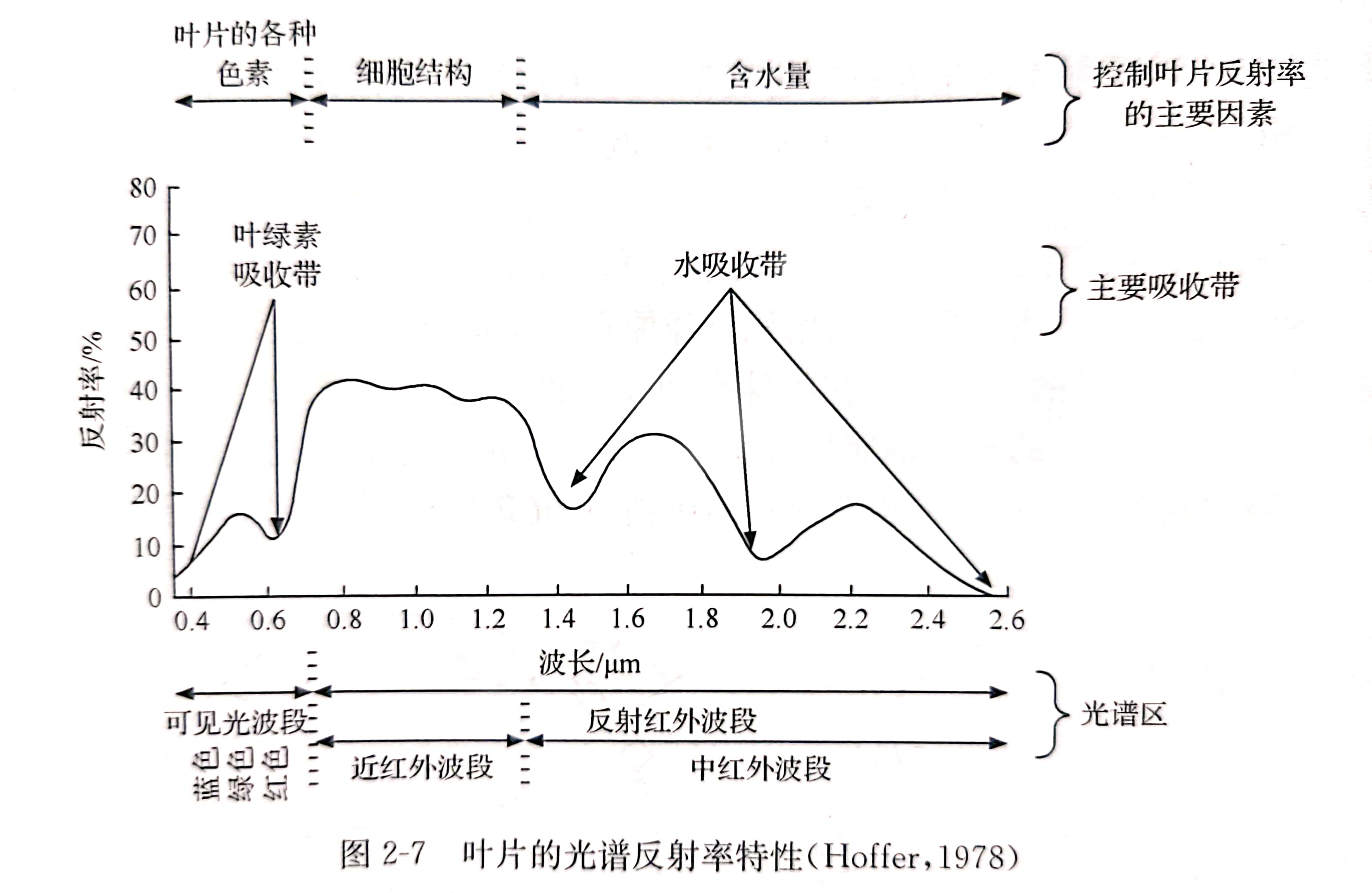 【图像处理】多光谱 波长波段划分 主要波段特性 植被遥感原理 典型植被指数