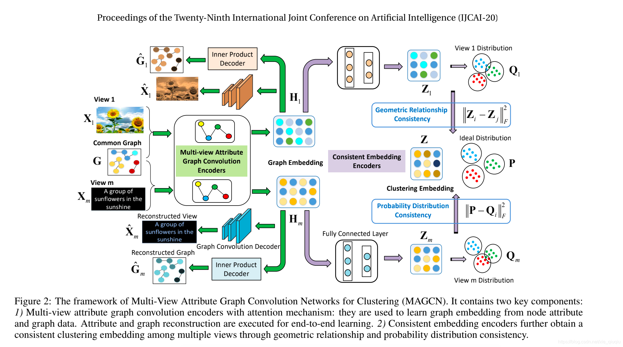 Multi-View Attribute Graph Convolution Networks for Clustering-CSDN博客