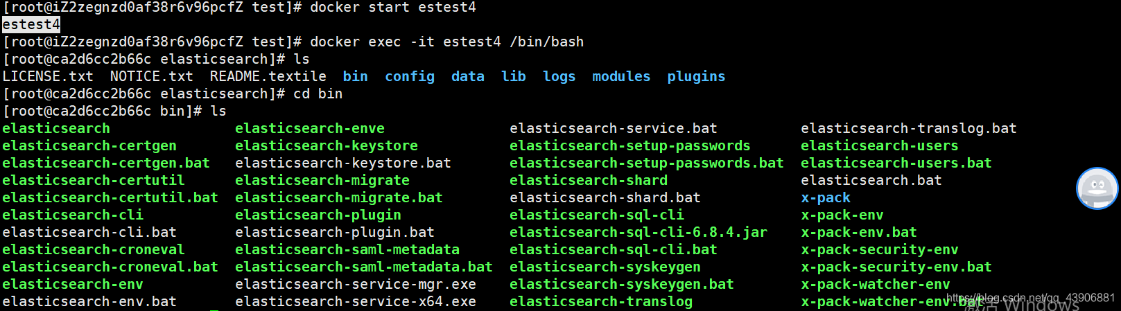 Docker Run bin bash docker Run Bash CSDN docker-run-bin-bash-docker-run-bash-csdn