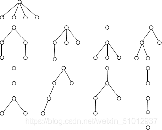 画出5阶所有非同构的根树