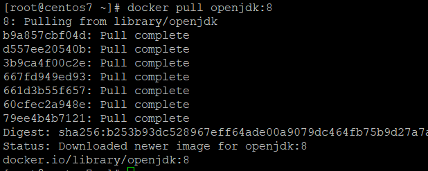 docker openjdk