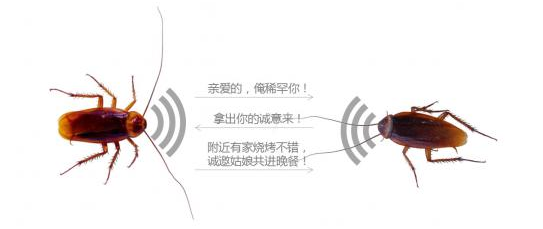 天线theta_长波天线和短波天线