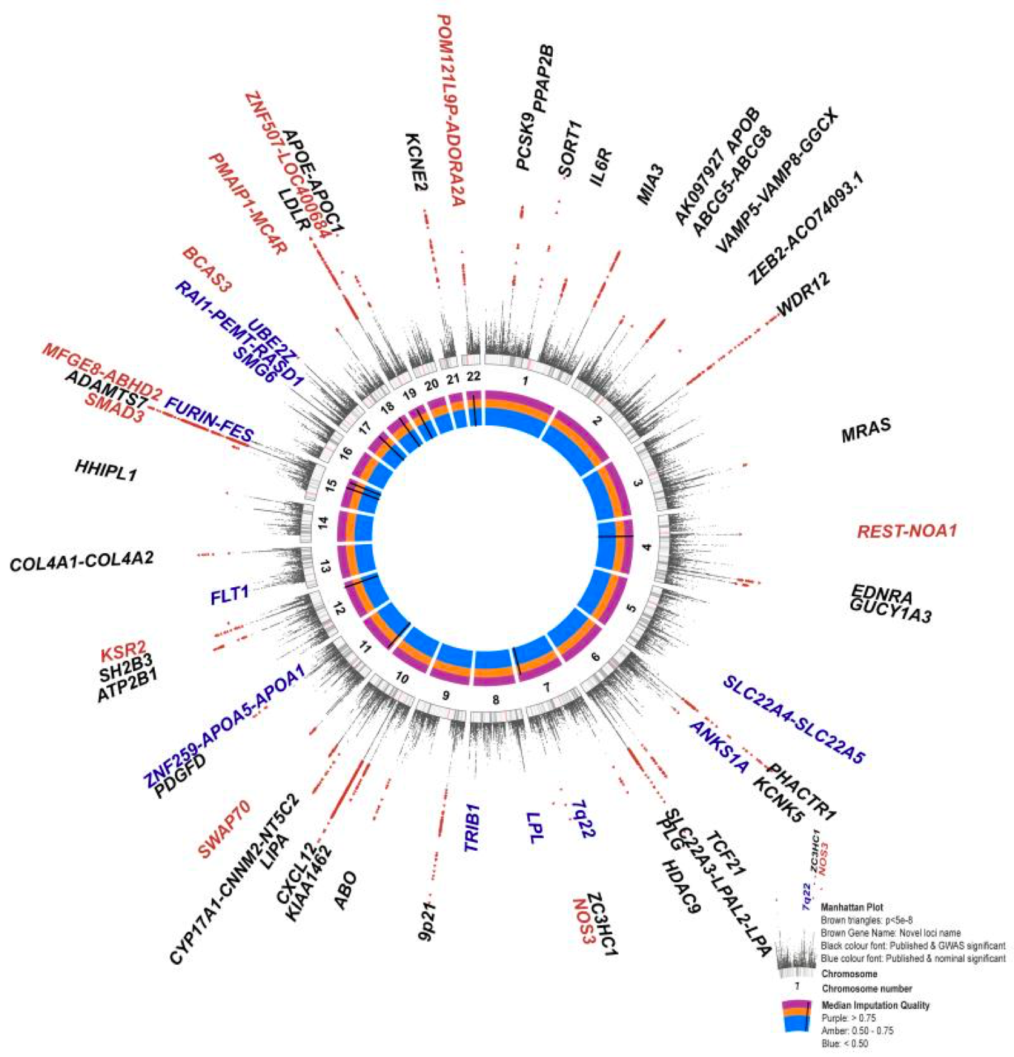 生物信息学在心血管系统疾病中的应用