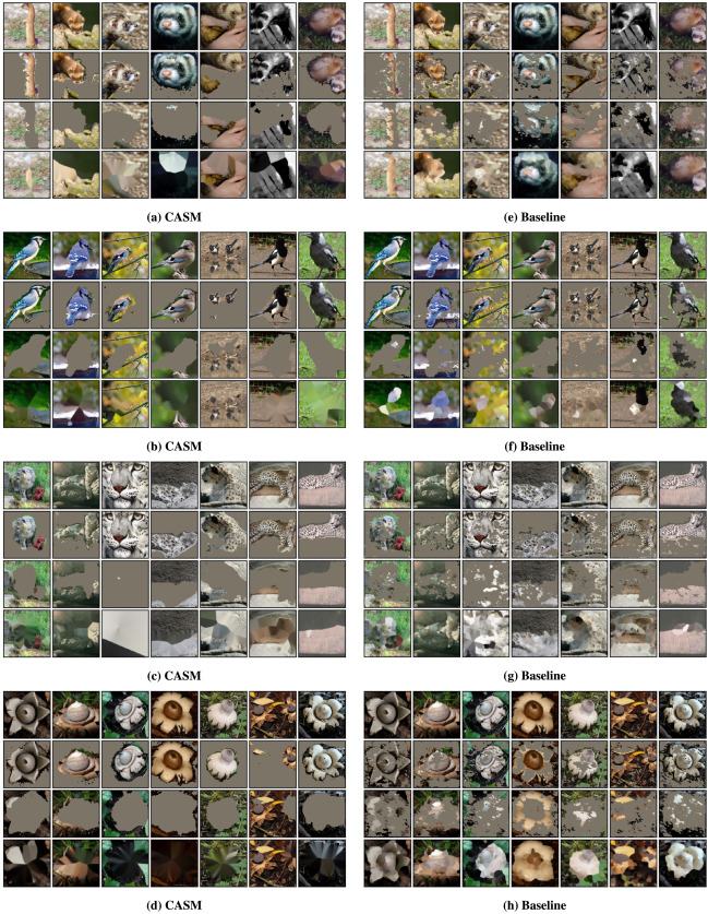 与分类器无关的显着图提取：Classifier-agnostic saliency map extraction