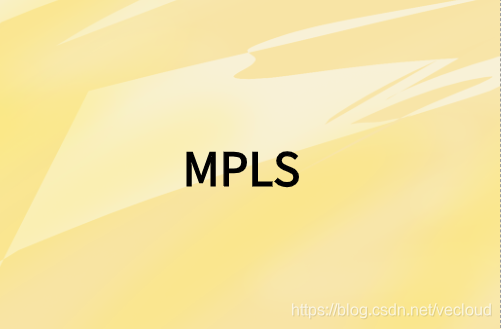 The composition of MPLS VPN: the role of routers and switches