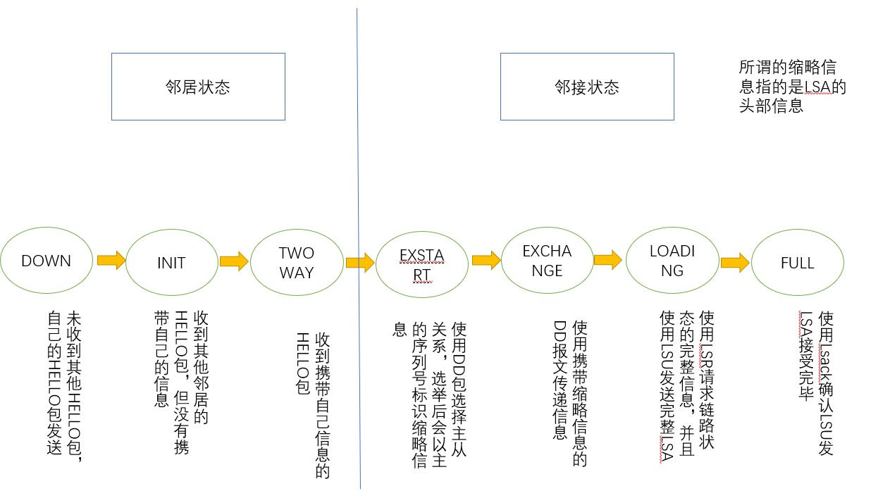 OSPF    HCIP2.0