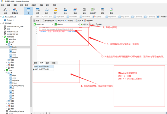 Navicat Premium 12 免安装版