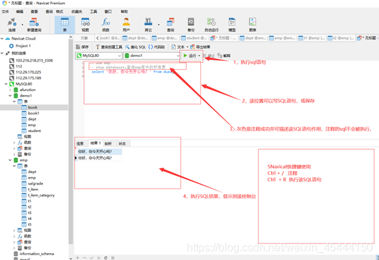 Navicat Premium 12 免安装版