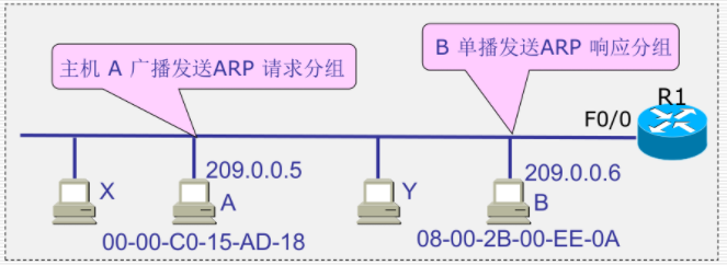 本网ARP的使用