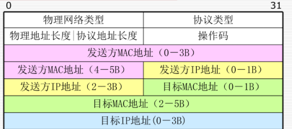 ARP分组格式