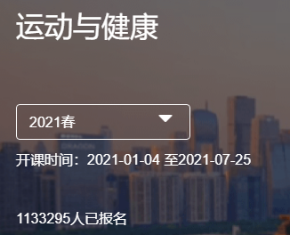 弟は質の高い大学のコースを提供したいと考えていました。妹は彼に8つのウェブサイトを直接提供しました。