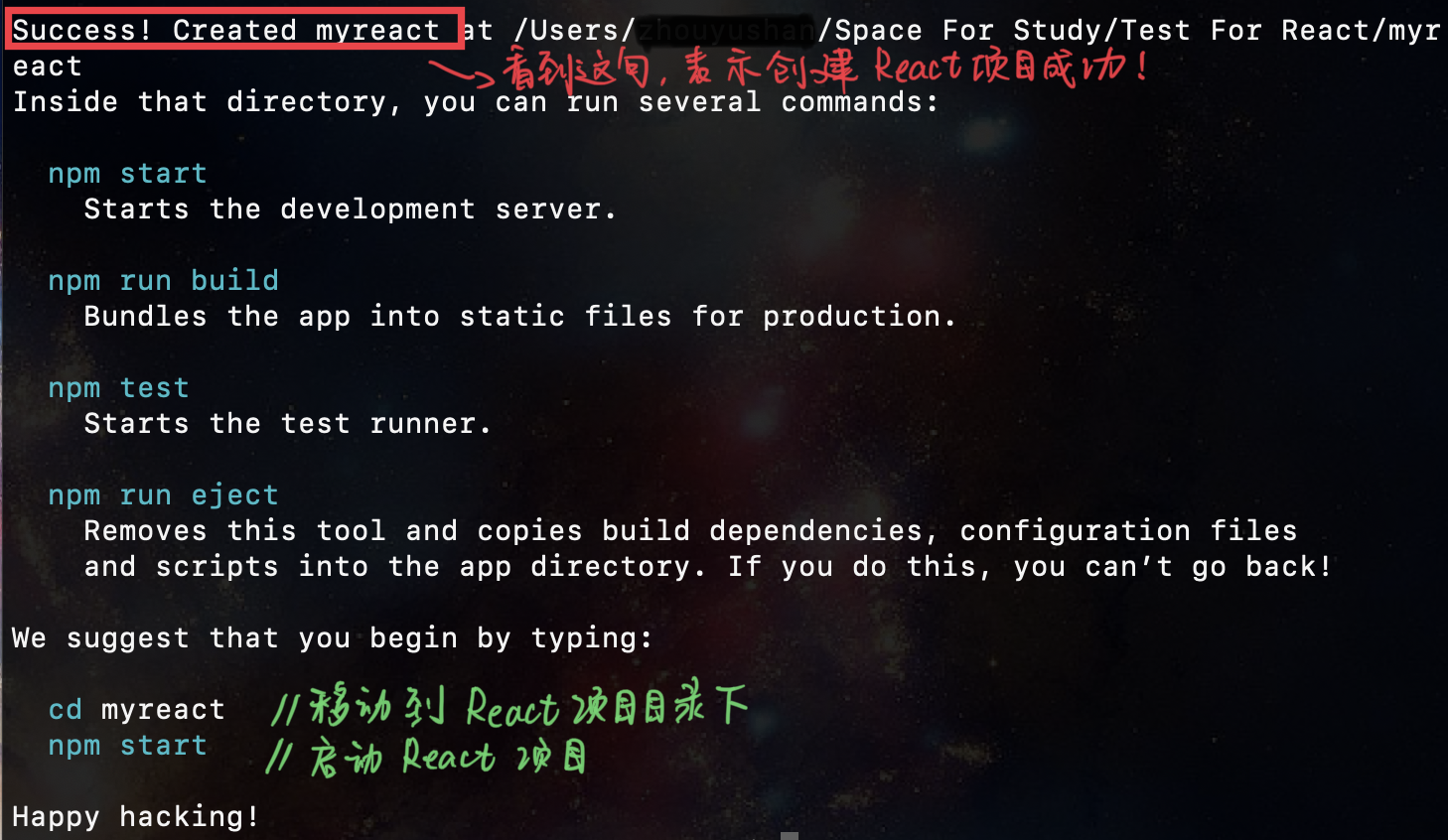 成功创建React项目