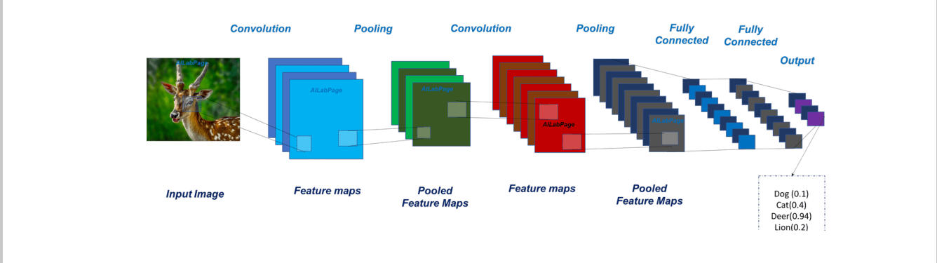 convolution layer the kernel卷积层找到图像所有特征使用过滤器