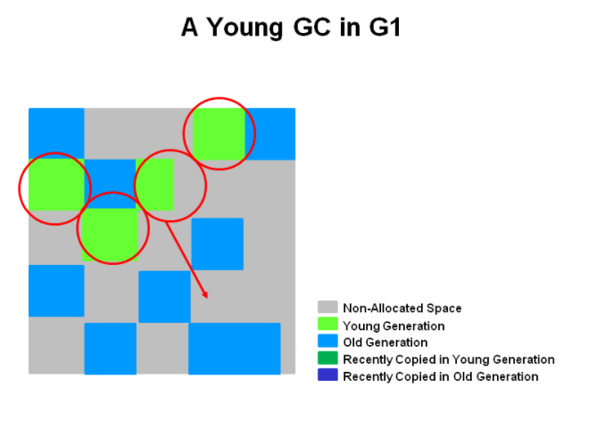 210317.g1.young.1.png