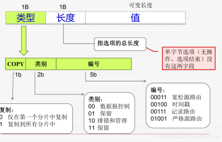 选项的格式