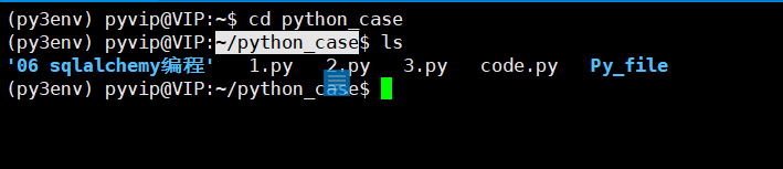 可以看见路径变为根目录下的python_case