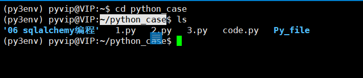 Você pode ver que o caminho se torna python_case no diretório raiz