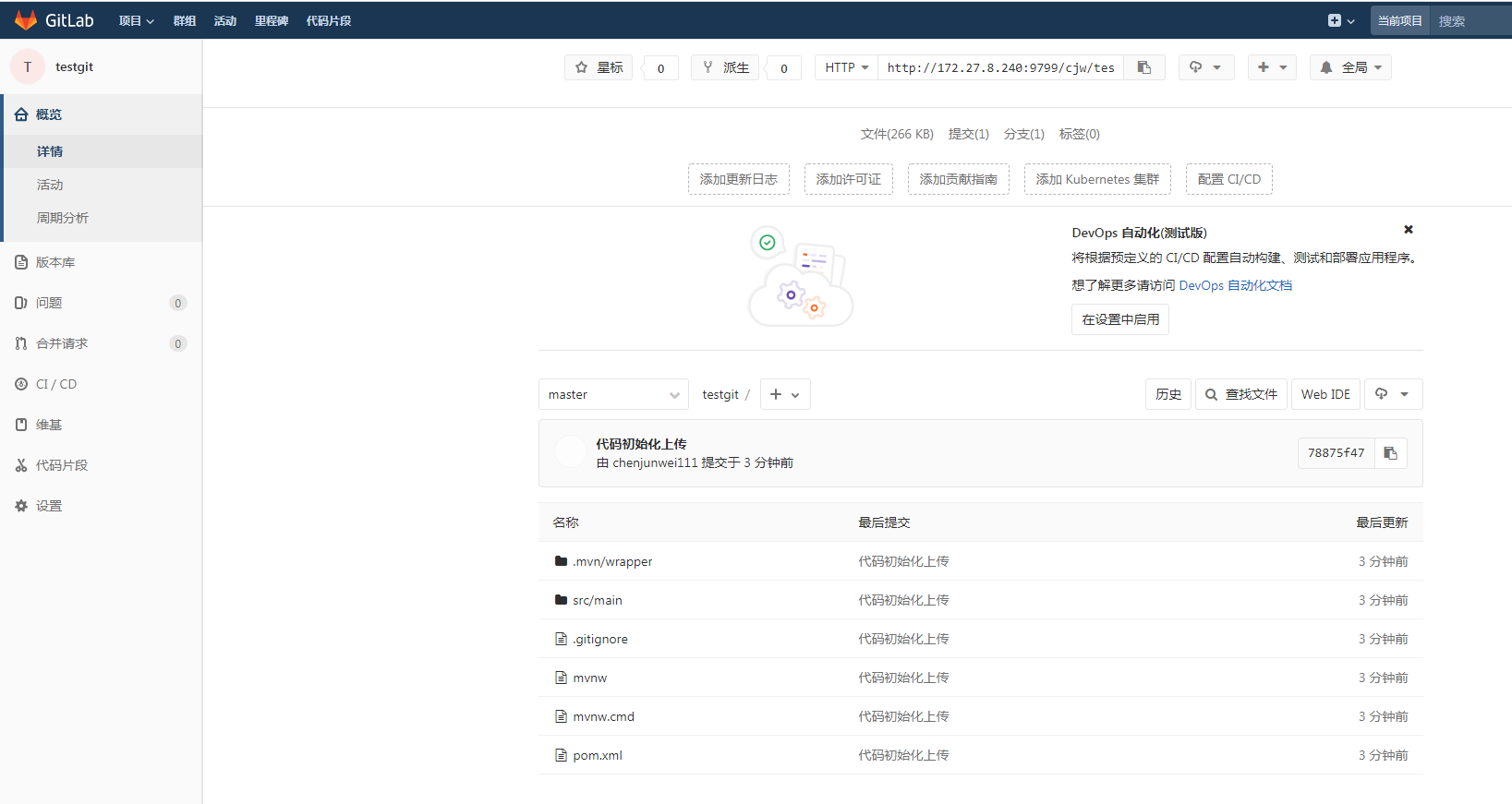 Docker配置 Gitlab Jenkins Java 项目自动化部署（一）Gitlab_java Docker 部署git项目-CSDN博客