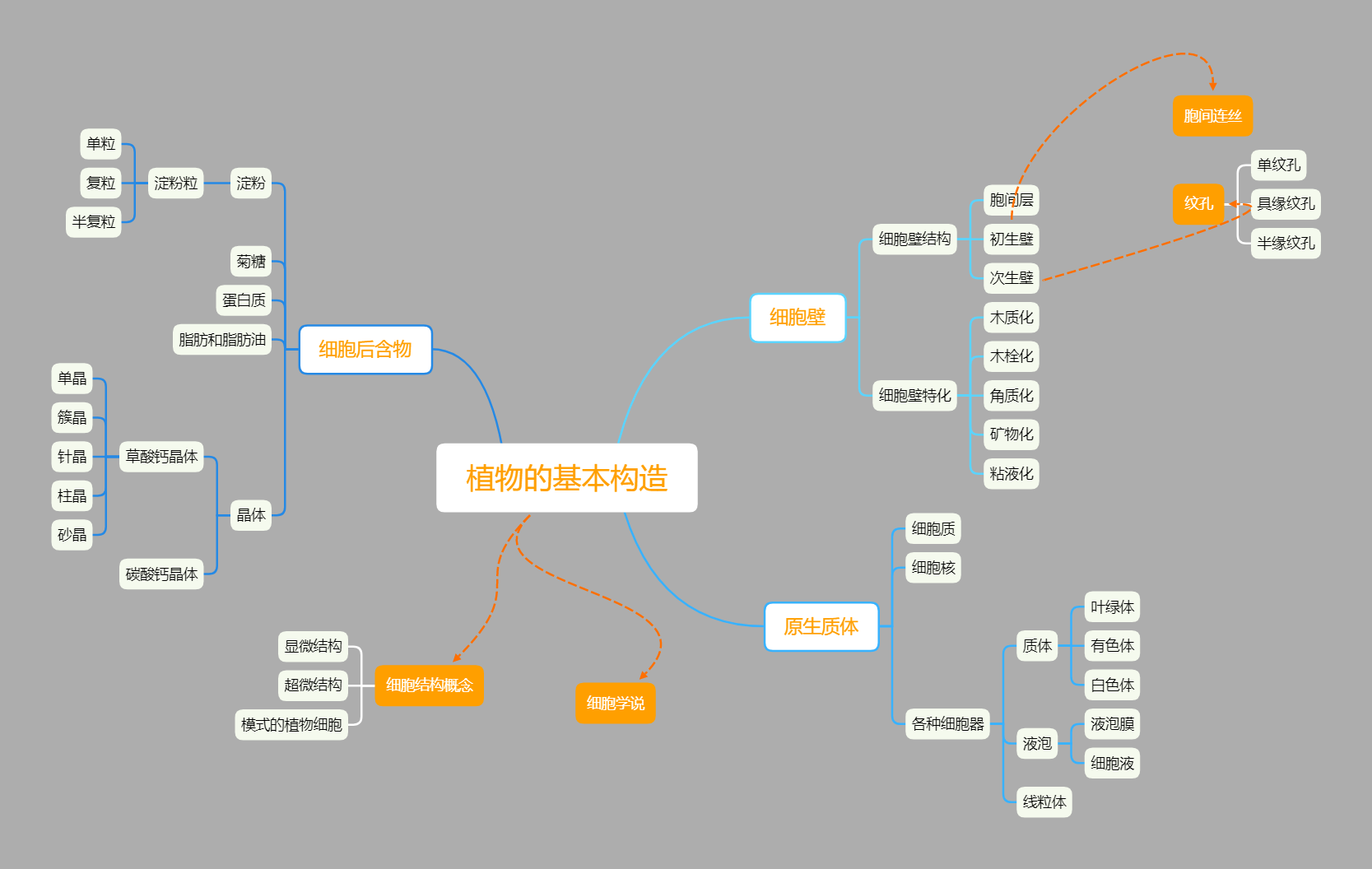 药用植物学 植物的细胞 M0 的博客 Csdn博客