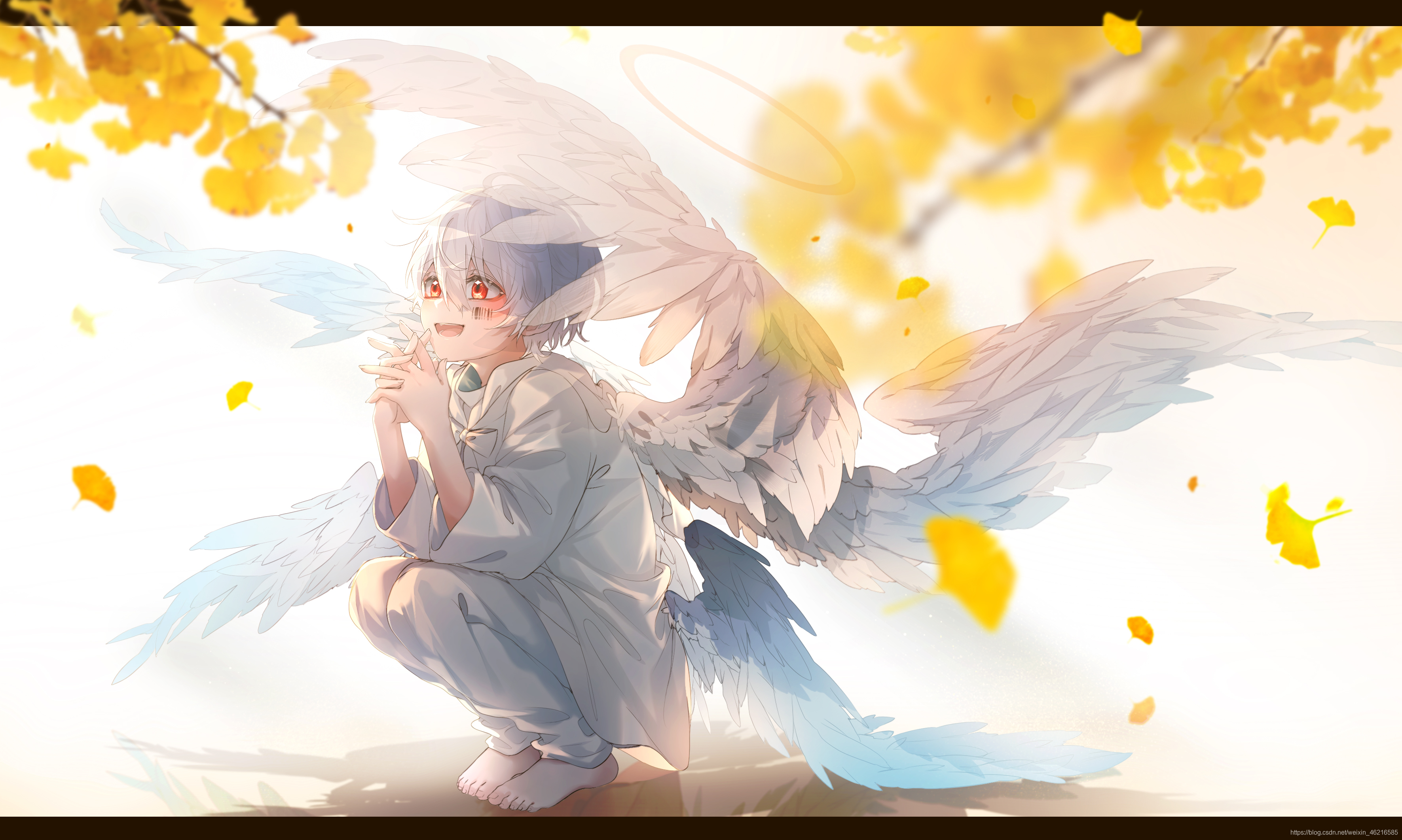 天使的枫叶